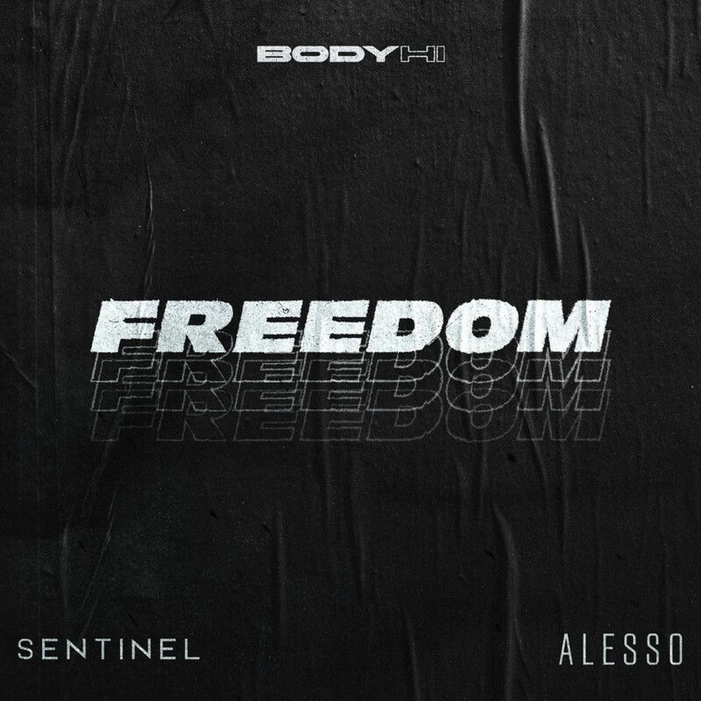 Alesso & Sentinel — Freedom artwork