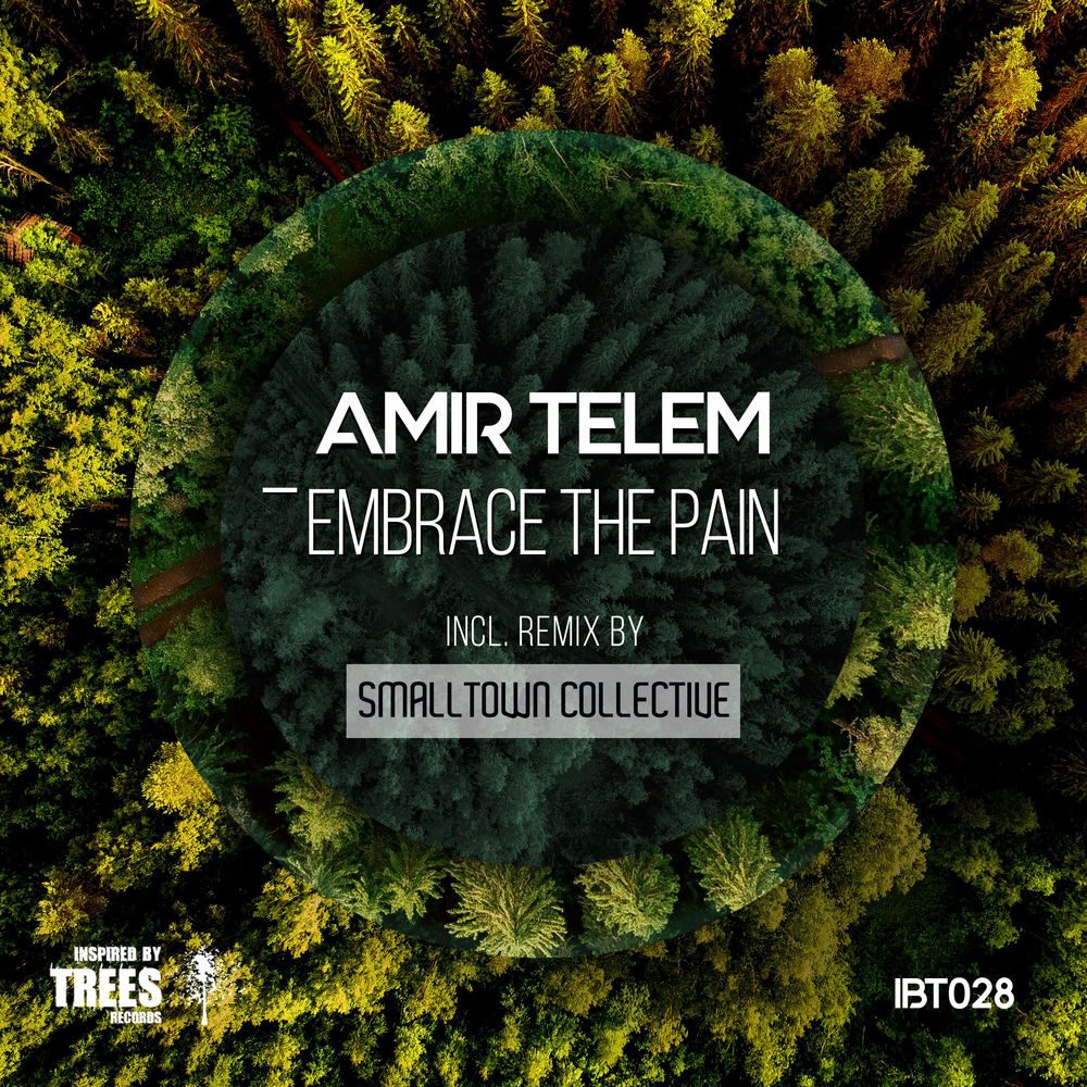 Amir Telem — Embrace the Pain artwork