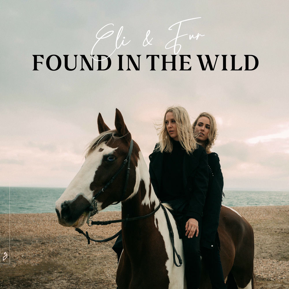 Eli & Fur — Found In The Wild artwork