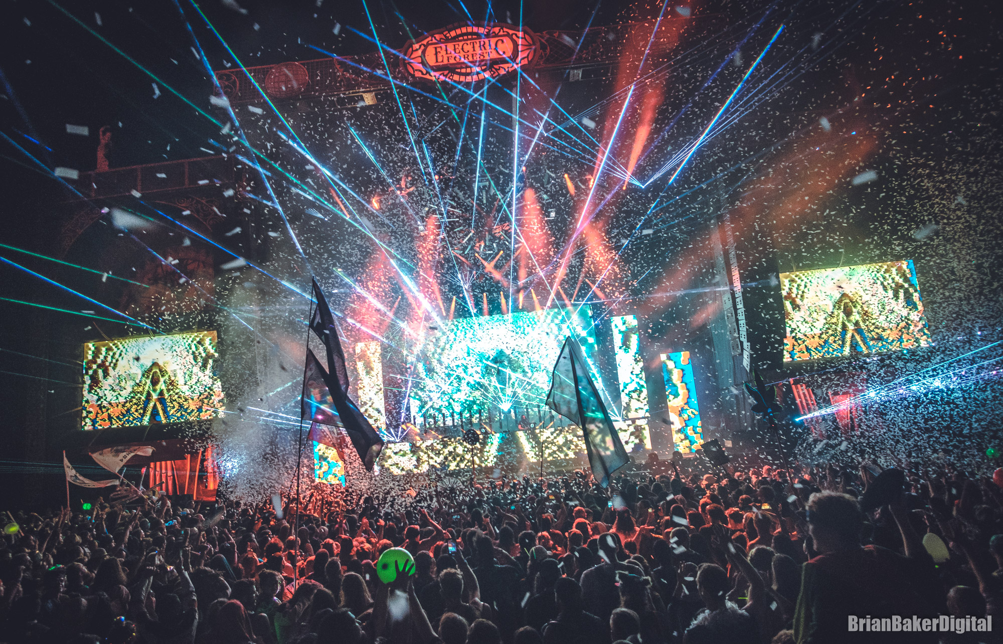 Electric Forest — Electric Forest artwork